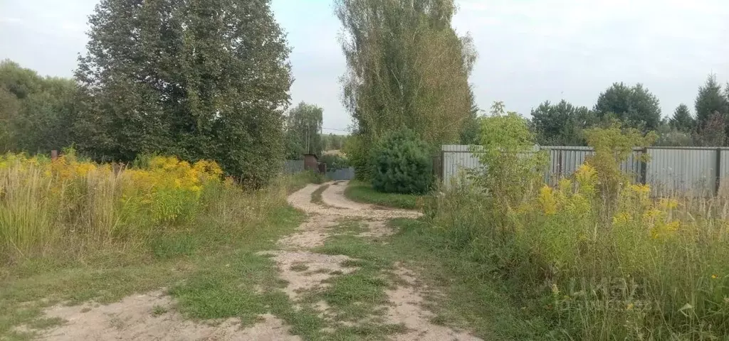 Участок в Тульская область, Тула муниципальное образование, с. Алешня  ... - Фото 1