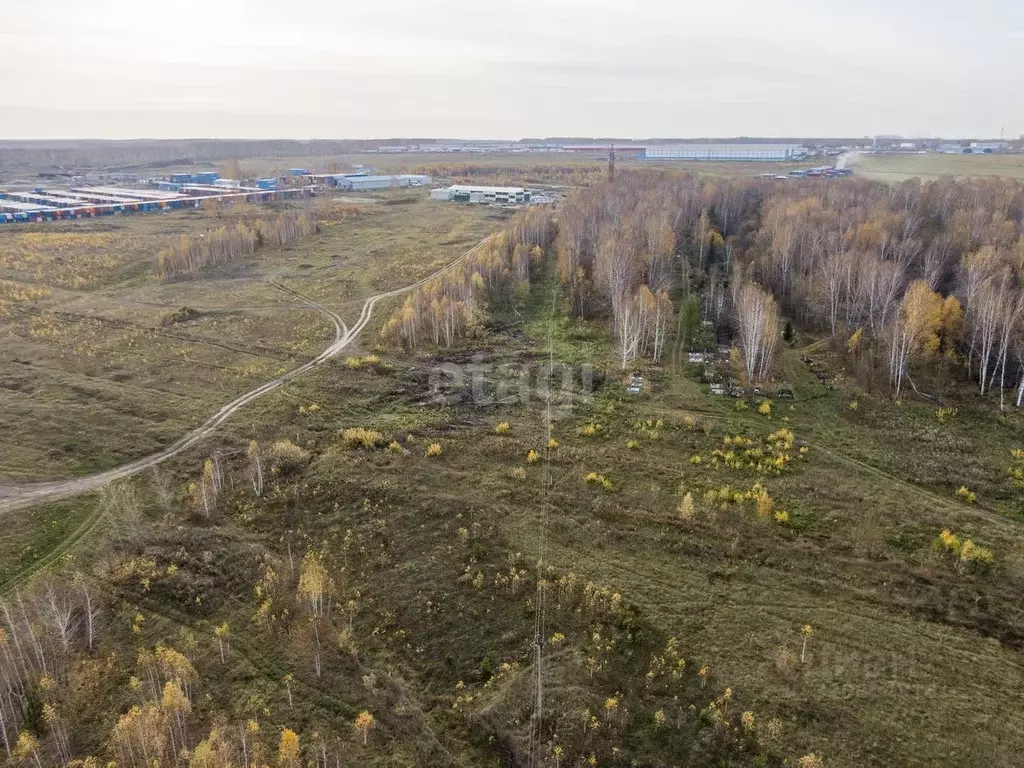 Участок в Новосибирская область, Новосибирский район, Станционный ... - Фото 1