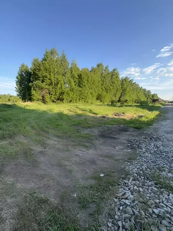 Участок в Новосибирская область, Мошковский район, Барлакский ... - Фото 1