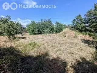 Участок в Севастополь, Балаклавский муниципальный округ, СТ Наука-2 ... - Фото 1