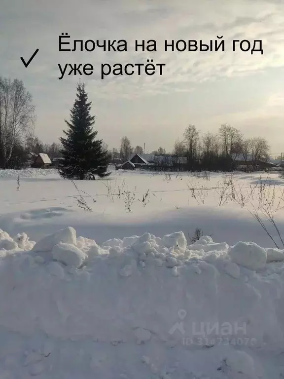 Участок в Пермский край, Нытвенский муниципальный округ, пос. Станции ... - Фото 1