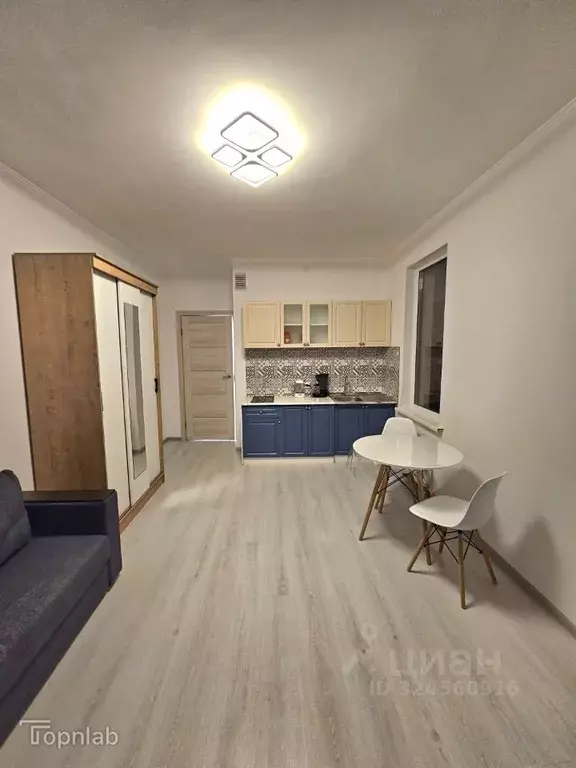 Студия Санкт-Петербург аллея Арцеуловская, 19 (25.22 м) - Фото 1