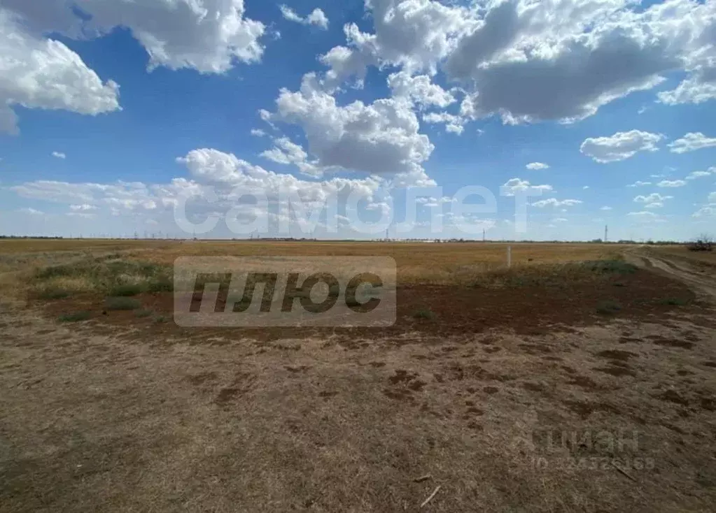 Участок в Крым, Сакский район, Веселовское с/пос, с. Наташино ул. ... - Фото 2