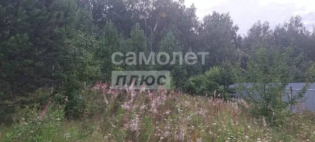Участок в Тюменская область, Тюменский муниципальный округ, д. Елань ... - Фото 2