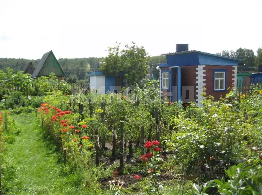 Дом в Новосибирская область, Искитимский район, Чернореченский ... - Фото 1