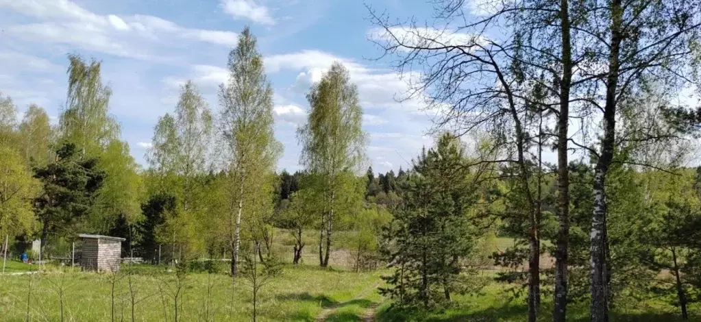 Участок в Московская область, Чехов  (29.0 сот.) - Фото 1