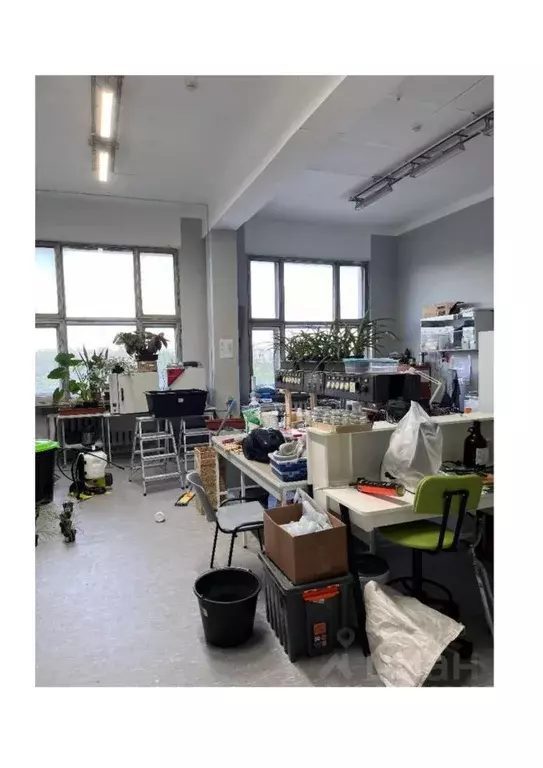 Помещение свободного назначения в Новосибирская область, Новосибирский ... - Фото 1