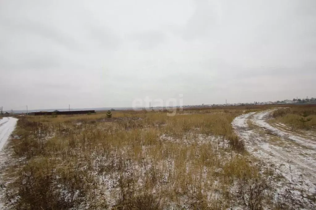 Участок в Калужская область, Дзержинский район, Дворцы с/пос, д. ... - Фото 2