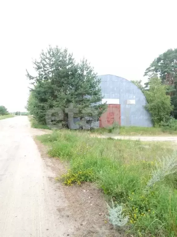 Помещение свободного назначения в Брянская область, Брянский район, ... - Фото 1