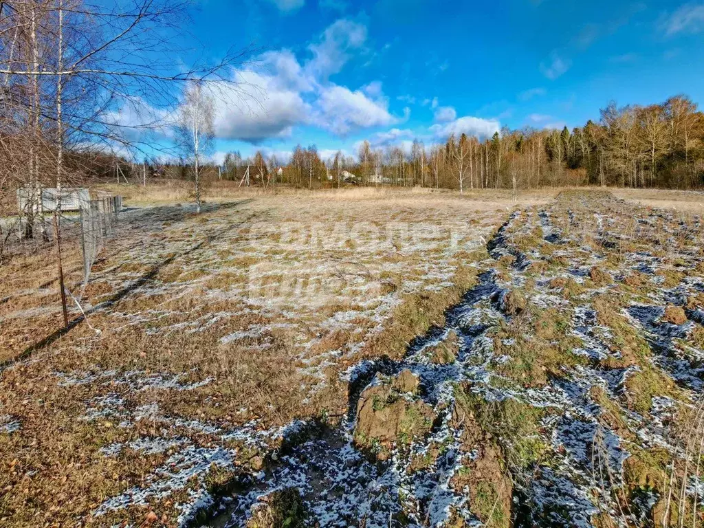 Участок в Московская область, Солнечногорск городской округ, д. ... - Фото 0