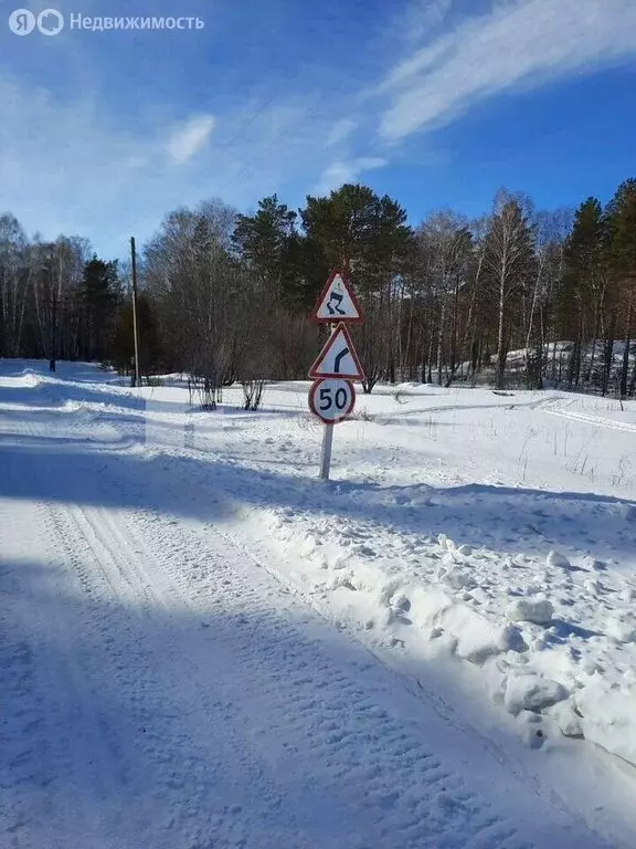 Участок в Курьинский район, Колыванский сельсовет, посёлок имени 8 ... - Фото 1