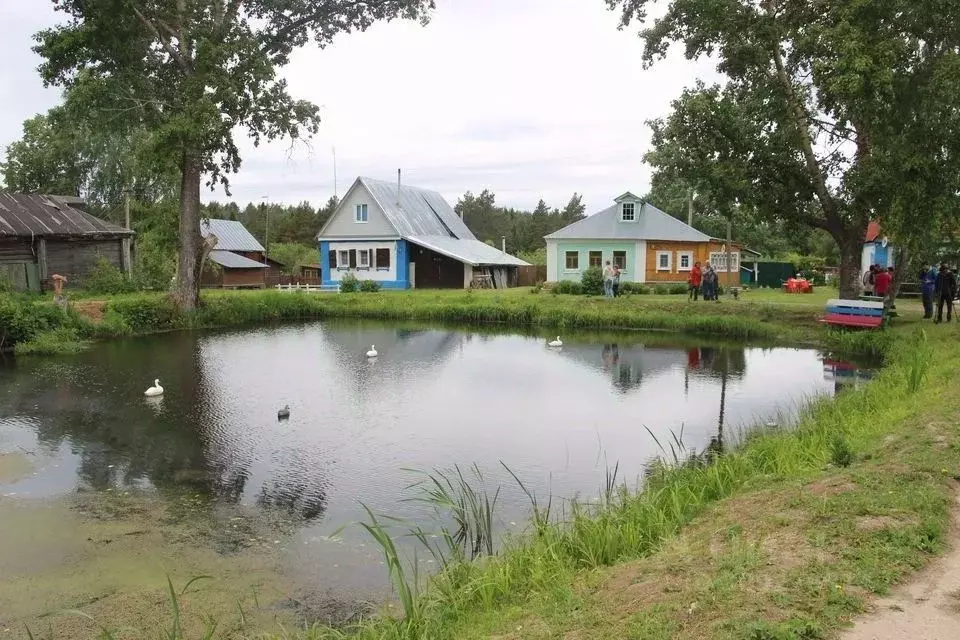 Участок в Владимирская область, Суздальский район, Селецкое ... - Фото 0