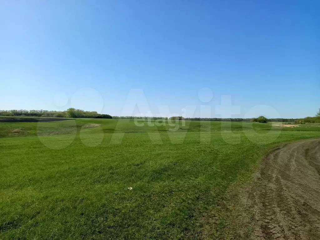 Участок 6,28 га (СНТ, ДНП) - Фото 0