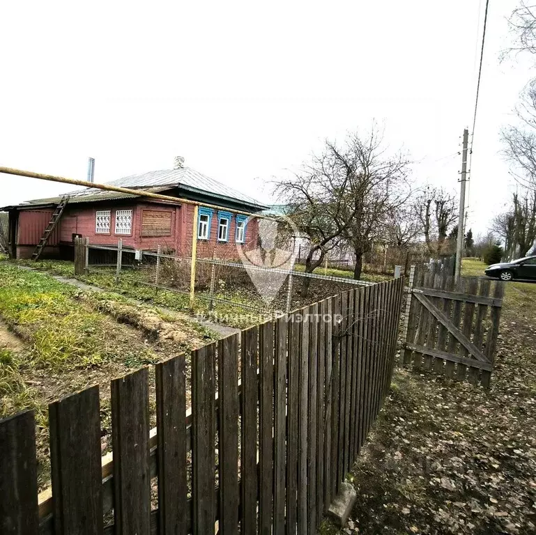 Дом в Рязанская область, с. Путятино ул. Мичурина, 31 (54 м) - Фото 0