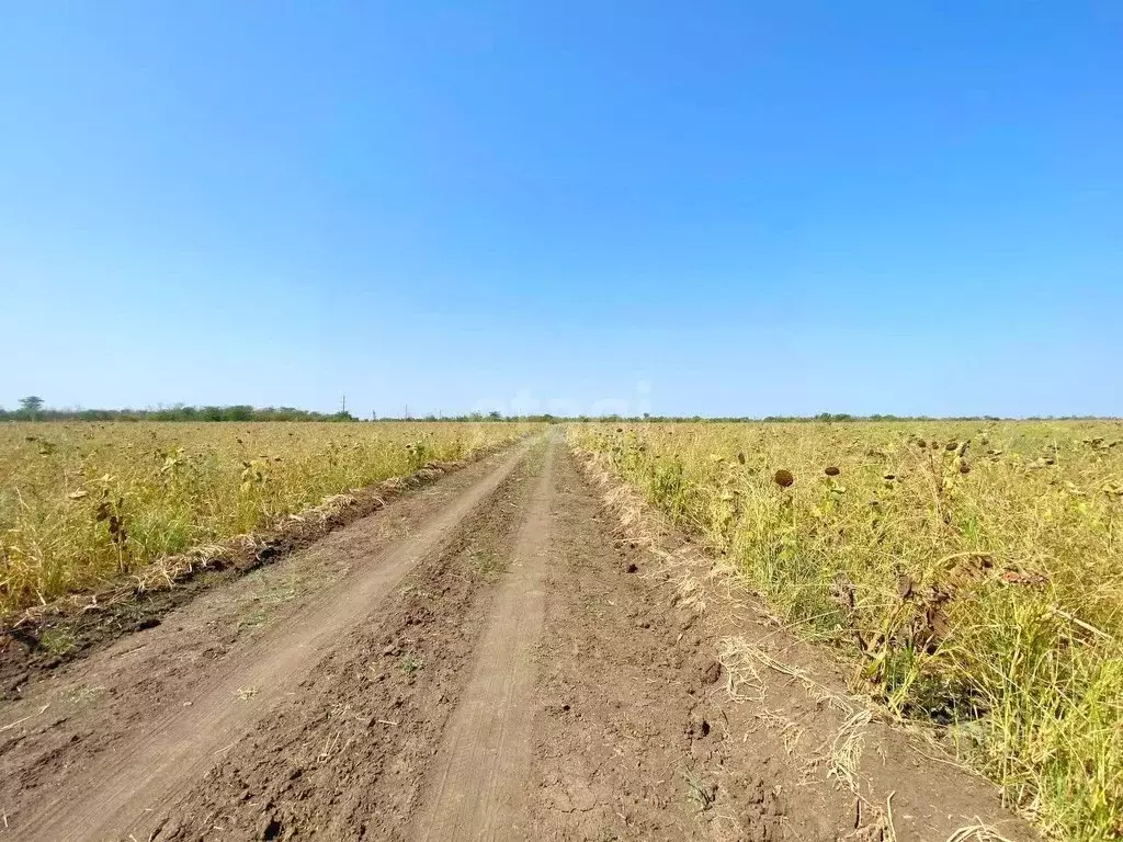 Участок в Краснодарский край, Ейск  (6.0 сот.) - Фото 1