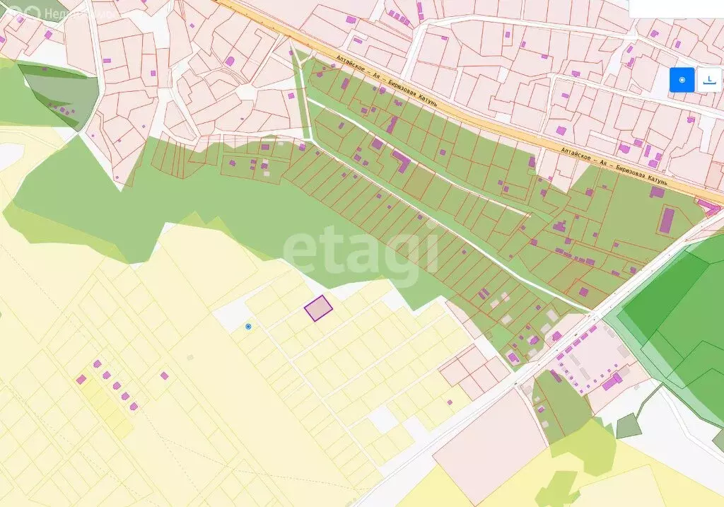 Участок в Алтайский район, Айский сельсовет, село Ая (10.1 м) - Фото 1