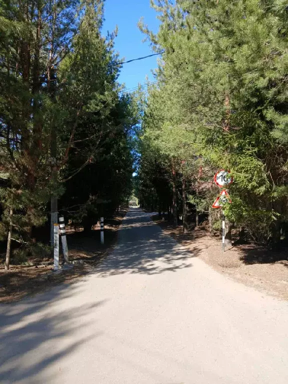 Продается участок в д. Осоргино - Фото 1