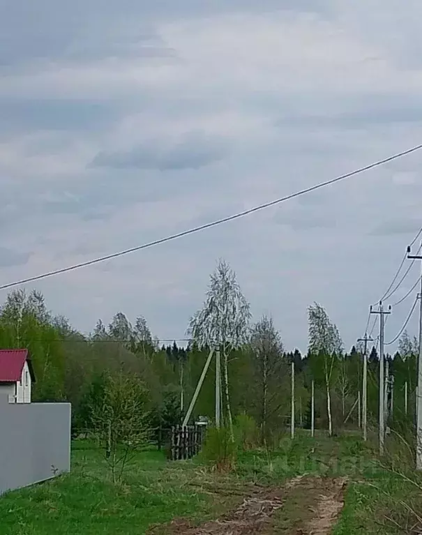 Участок в Ярославская область, Тутаевский муниципальный округ, ... - Фото 1