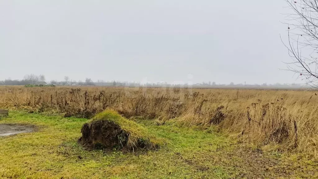 Участок в Марий Эл, Медведевский район, Пекшиксолинское с/пос, д. ... - Фото 1