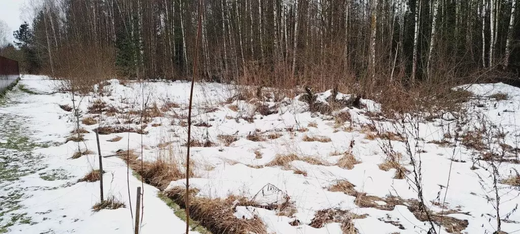 Участок в Московская область, Щелково городской округ, д. Аксеново  ... - Фото 0