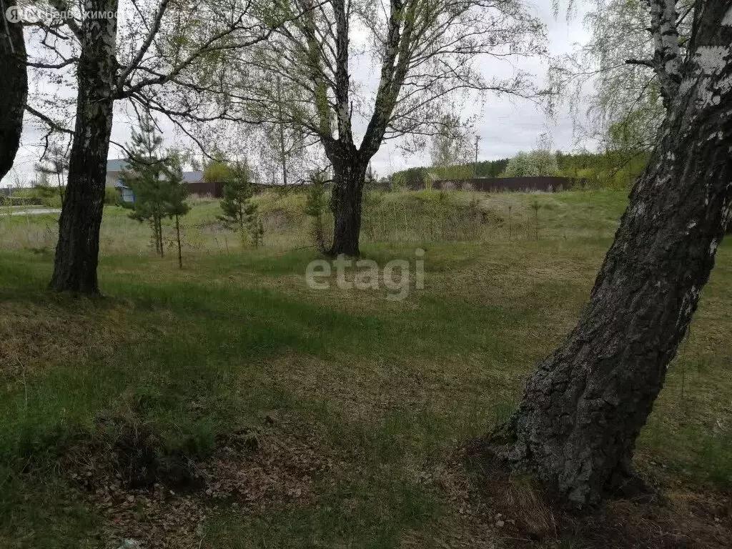 Участок в Зареченское сельское поселение, село Реутинское, Новая улица ... - Фото 2