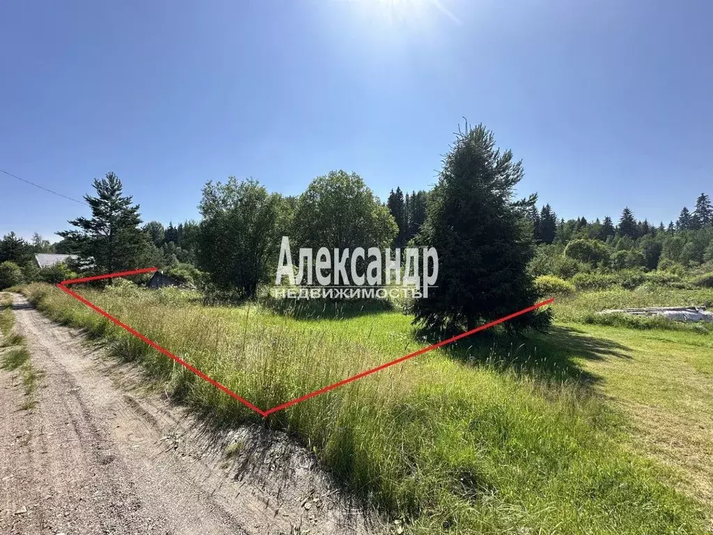 Участок в Ленинградская область, Выборгский район, Селезневское с/пос, ... - Фото 0