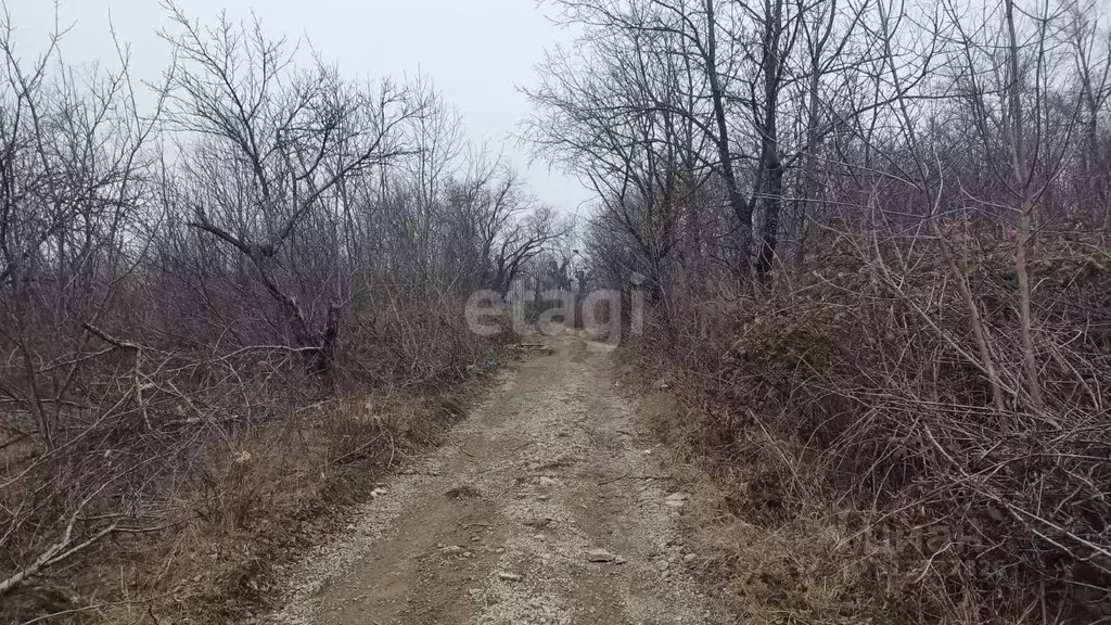 Участок в Ставропольский край, Ставрополь Кавказ садовое товарищество, ... - Фото 1