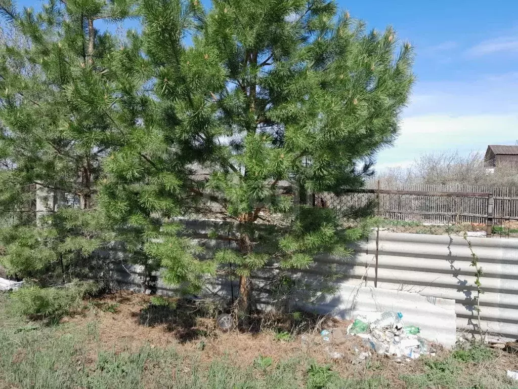 Дом в Оренбургская область, Оренбургский район, Нежинский сельсовет, ... - Фото 1