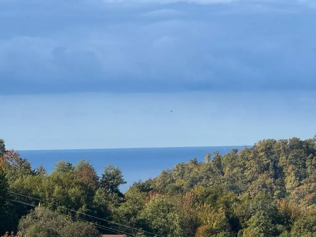 Дом в Краснодарский край, Сочи городской округ, с. Верхнее Учдере ул. ... - Фото 2
