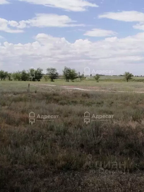 Участок в Волгоградская область, Светлоярский район, Дубовоовражное ... - Фото 1