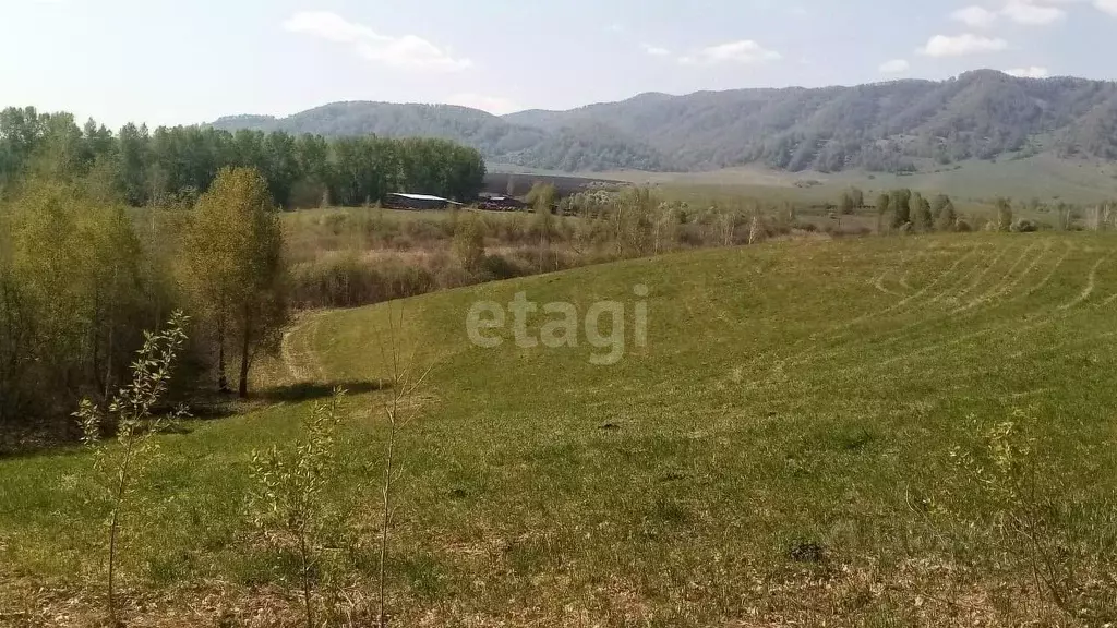 Участок в Алтайский край, Алтайский район, с. Алтайское ул. Революции ... - Фото 1