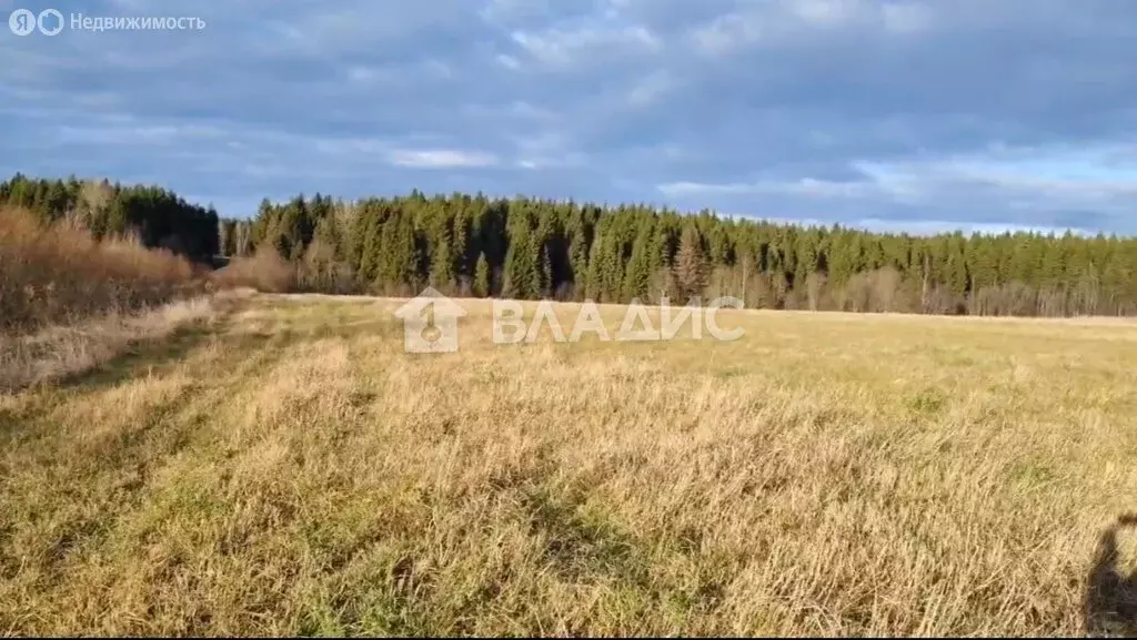 Участок в Вологодский муниципальный округ, деревня Прохорово (100 м) - Фото 1