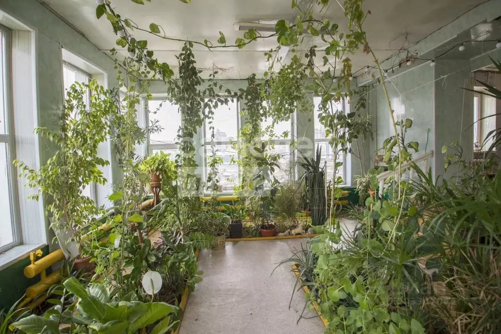 Дом в Иркутская область, Иркутский муниципальный округ, с. Пивовариха, ... - Фото 1