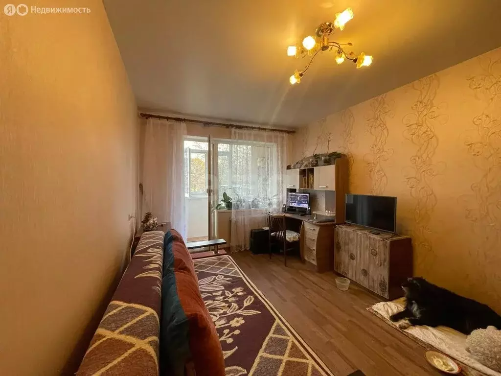 2-комнатная квартира: Симферополь, проспект Победы, 76 (48 м) - Фото 1