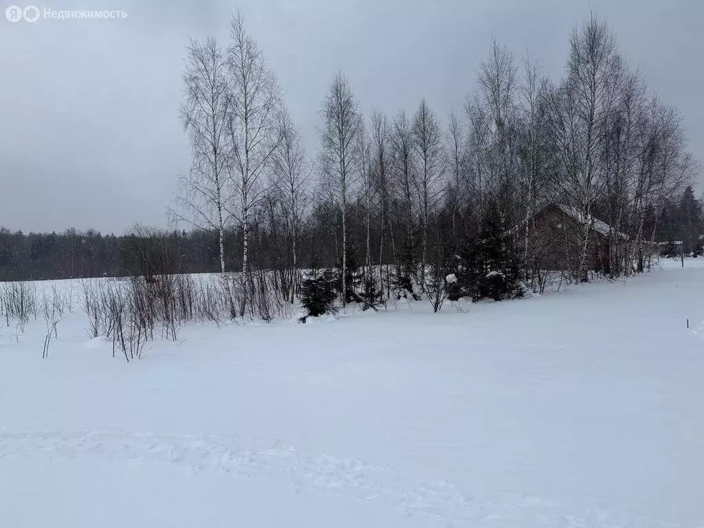 Участок в Владимирская область, Александровский муниципальный округ, ... - Фото 2
