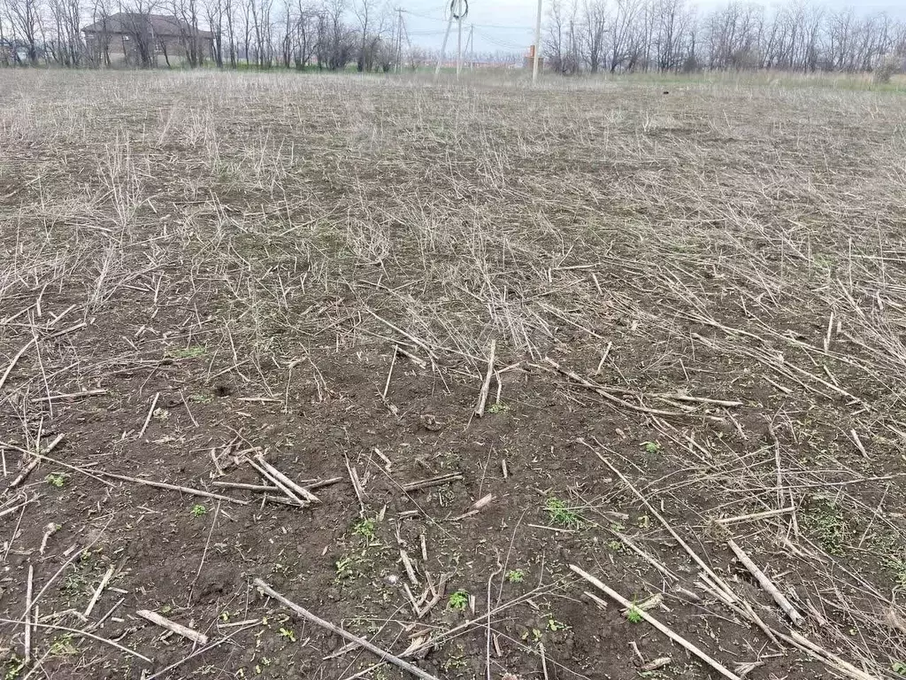 Участок в Ростовская область, Мясниковский район, с. Большие Салы ул. ... - Фото 0