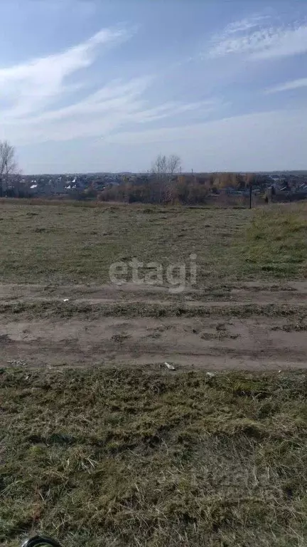 Участок в Алтайский край, Барнаул городской округ, Поселок Казенная ... - Фото 1