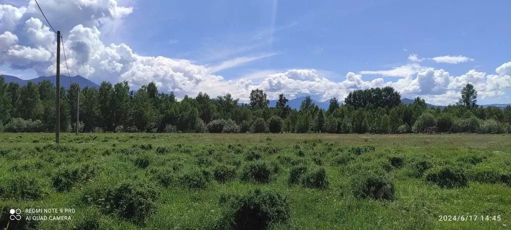 Участок в Алтай, Усть-Коксинский район, пос. Октябрьское ул. Дорожная ... - Фото 2