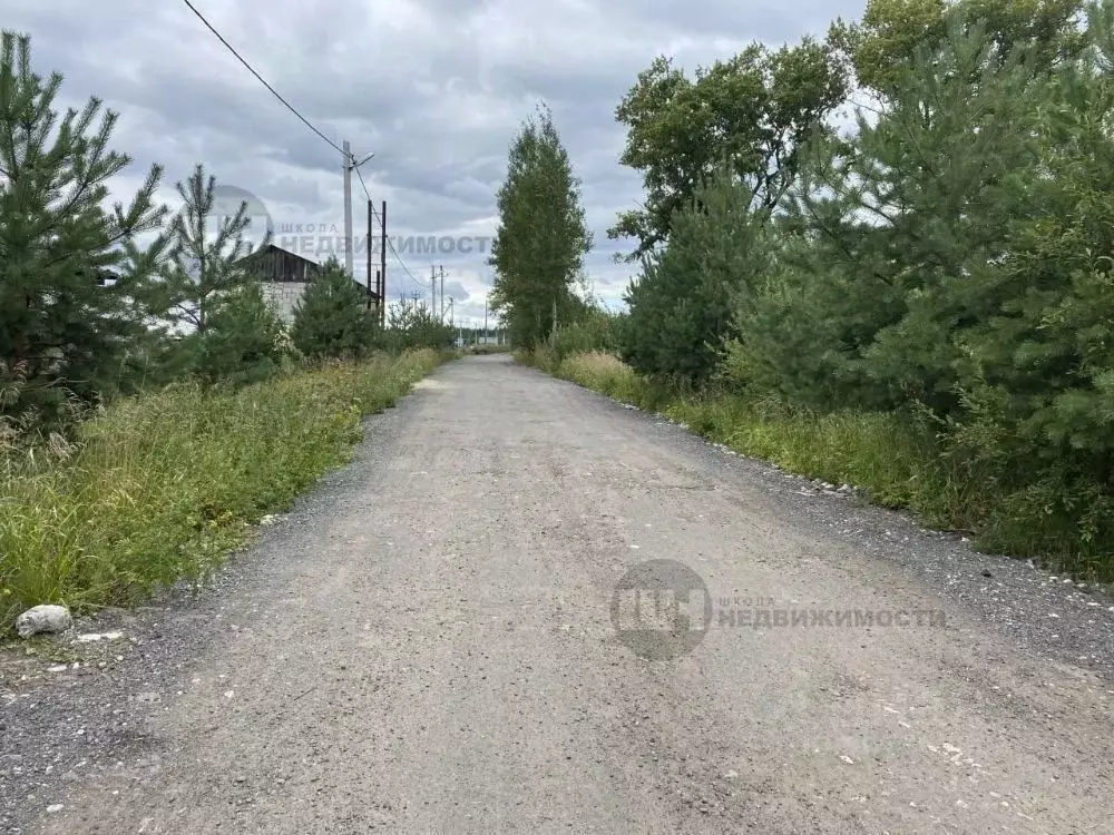 Участок в Ленинградская область, Всеволожский район, Романовское ... - Фото 1