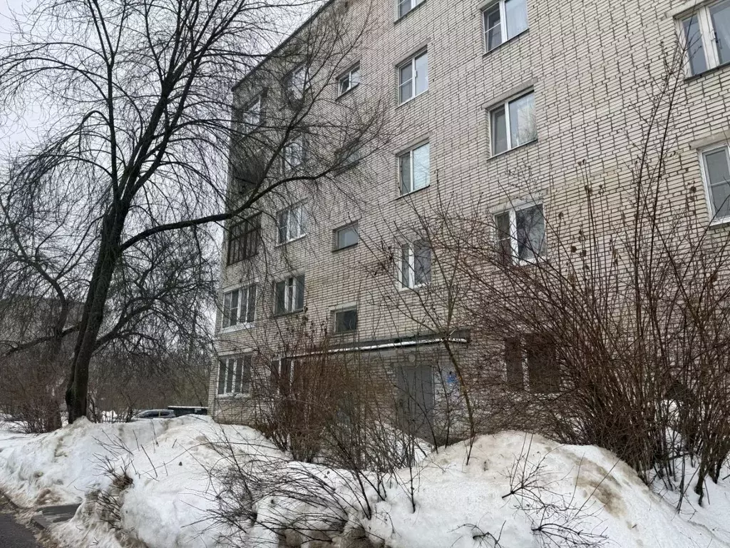 2-к кв. Московская область, Рузский муниципальный округ, д. Поречье 30 ... - Фото 1