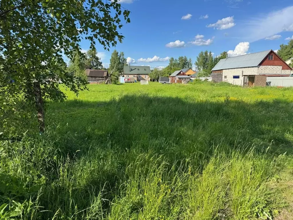 Участок в Московская область, Богородский городской округ, д. Молзино  ... - Фото 1