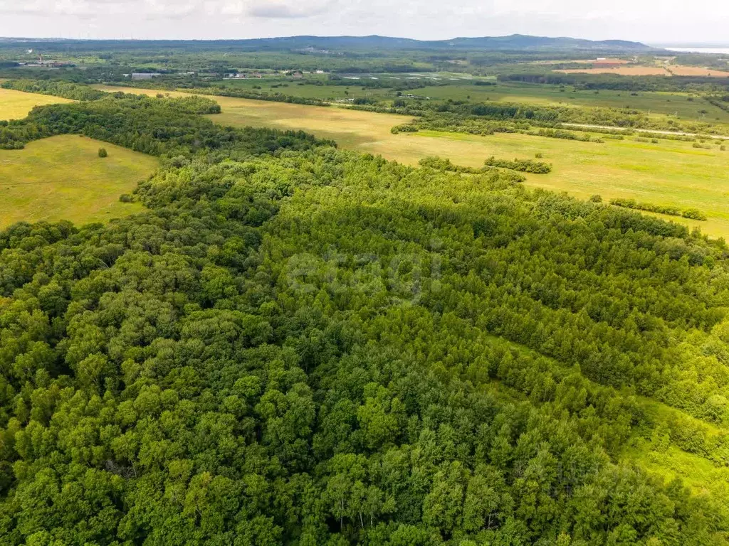 Участок в Хабаровский край, Хабаровский район, Мичуринское с/пос, с. ... - Фото 2