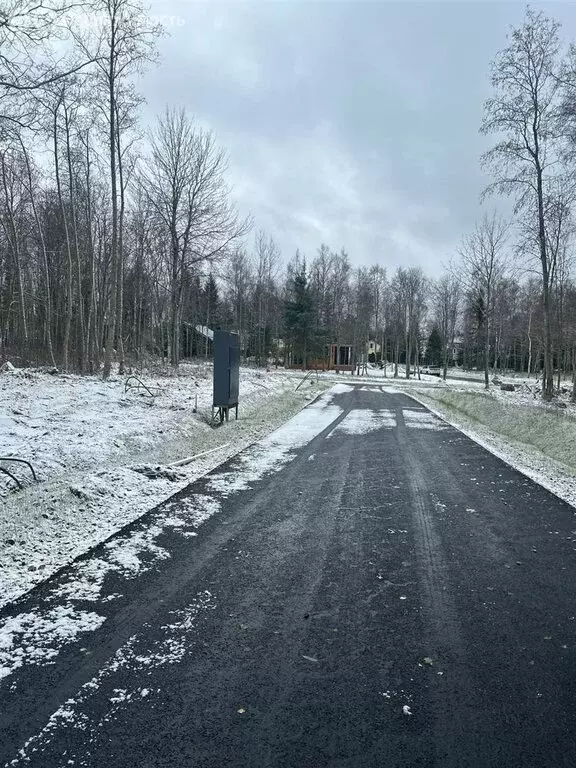 Участок в Приозерский район, Сосновское сельское поселение, деревня ... - Фото 1