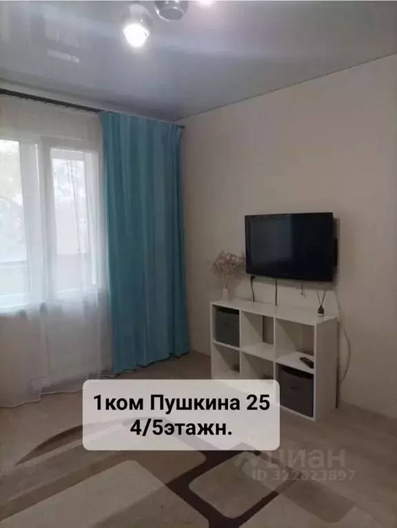 1-к кв. Пензенская область, Пенза ул. Пушкина, 25 (30.0 м) - Фото 1