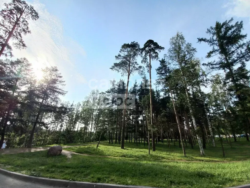 1-комнатная квартира: Санкт-Петербург, проспект Тореза, 118 (45.6 м) - Фото 1