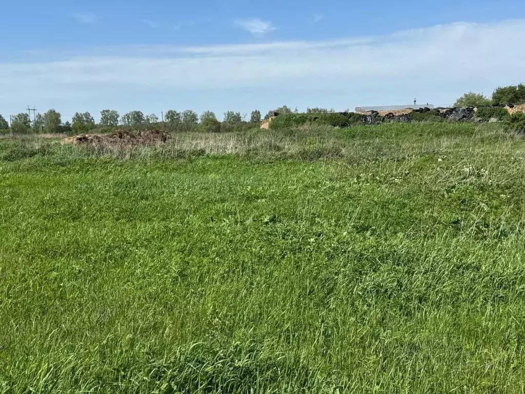 Участок в Московская область, Богородский городской округ, д. Ново  ... - Фото 1