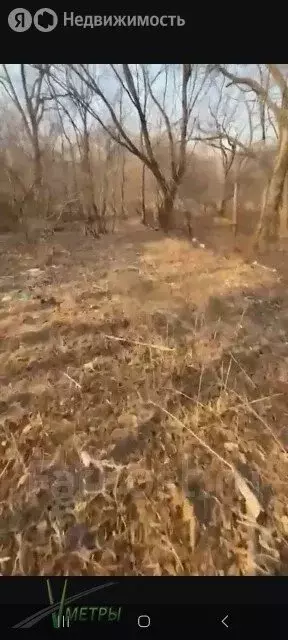Участок в Приморский край, Надеждинский муниципальный округ, село ... - Фото 1