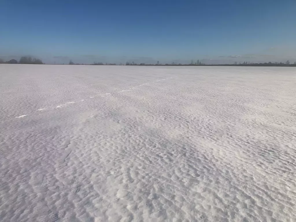 Участок в Новгородская область, Чудовский район, Трегубовское с/пос, ... - Фото 0