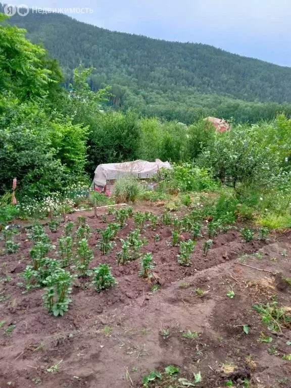 Участок в Миасс, СНТ Урал-5 (7.5 м) - Фото 1