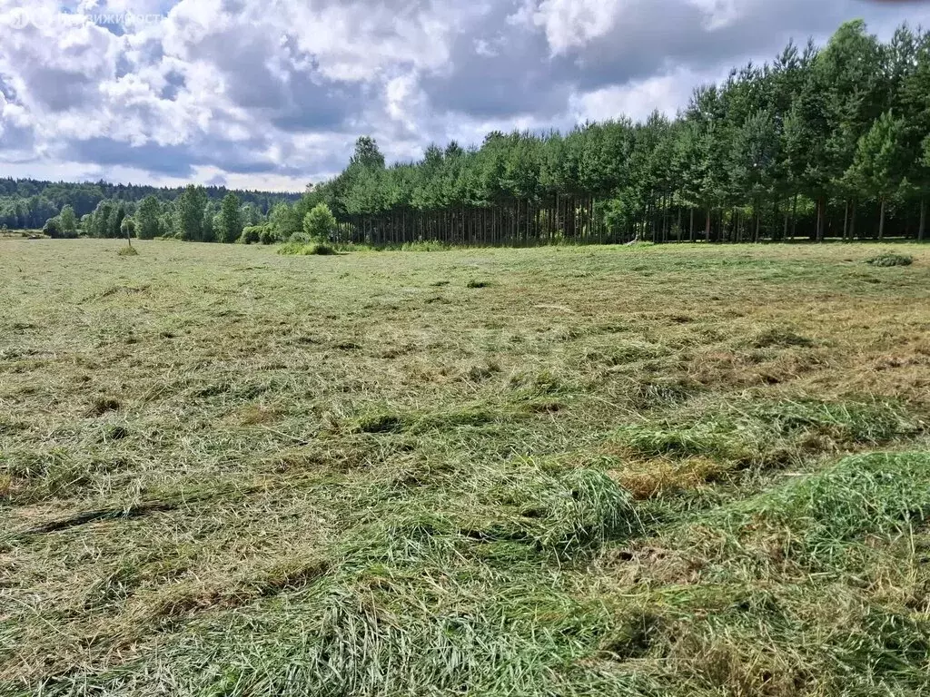 Участок в Выборгский район, Советское городское поселение, посёлок ... - Фото 2